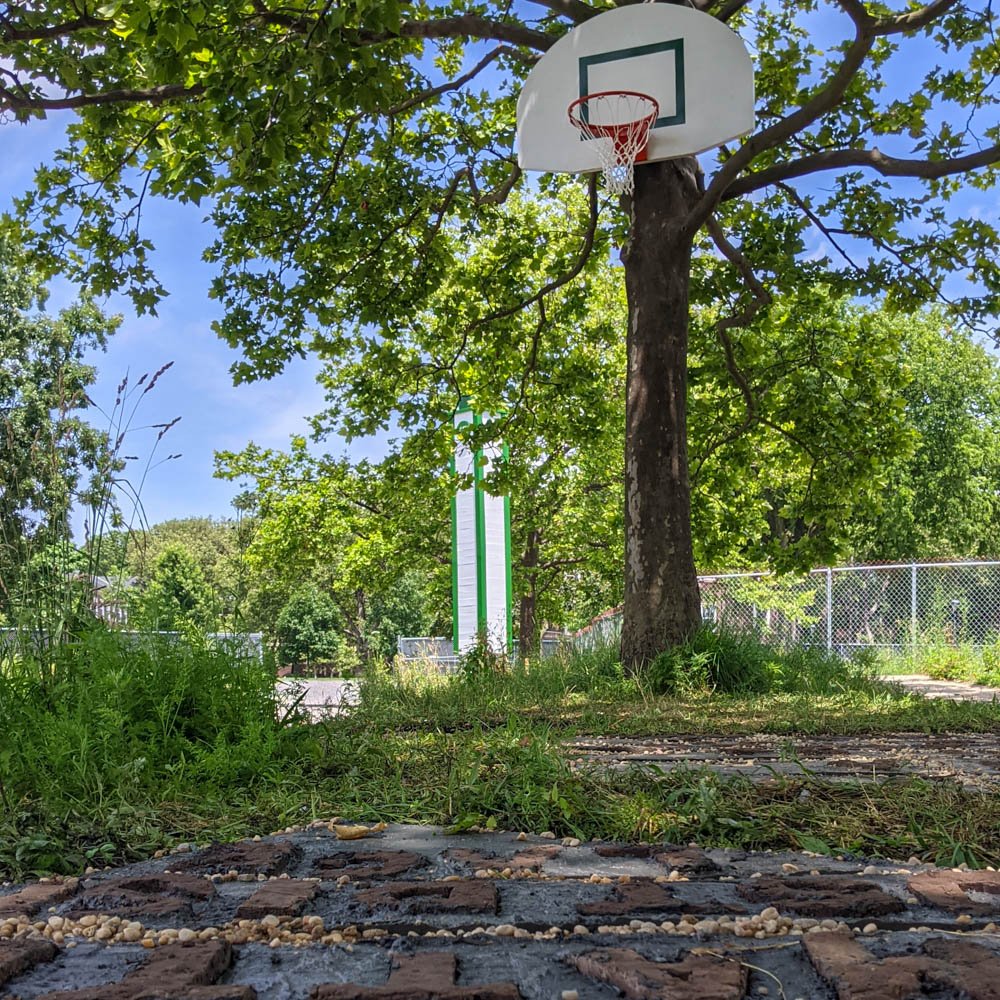 A worm’s eye view, clay text in concrete pavers on the ground in front of us. A basketball backboard is mounted on a London plane tree, whose leaf-thick branches nearly fill the top half of the frame. Visible just behind the tree is a chimney swift tower.