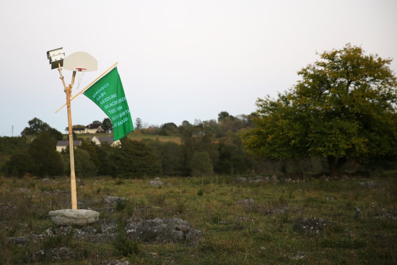 Trees stand green behind a rock filled grassy field. Close the the bottom left corner, an upside down concrete mushroom sprouts a 10 foot post which branches to hold a purple martin house, a basketball blackboard and a green flag with a stack of sky blue words: MAGGOT, BABY, SEEDLING, GLACIER DROP, TREE FERN, EARTH BIRTH, BIG BANG.