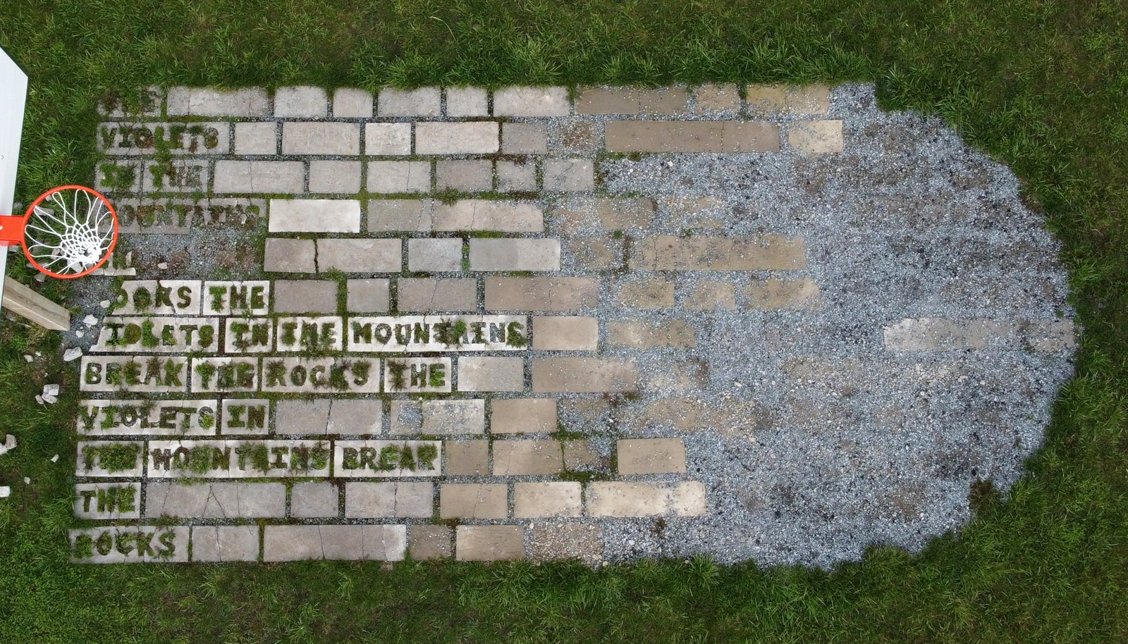 An aerial view of a concrete basketball key, the front rounded half of the key is worn into gravel. Beneath the basketball hoop the pavers that make up the key, have grass-filled letters growing up through them repeating: THE VIOLETS IN THE MOUNTAINS BREAK THE ROCKS